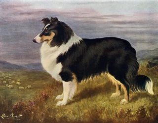 Der Reverend Hans F. Hamiltons Wcodmansterne Derek